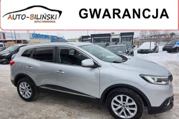 Niski Udok.Przeb.Pełen Serwis Bezwypadkowy Zadbany Faktura Gwarancja